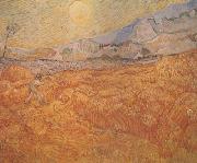 Vincent Van Gogh Wheat Field behind Saint-Paul Hospital with a Reaper (nn04) oil painting on canvas